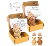 SEESUNO 2 PCS Bear in a Box Set, Little Pocket Worry Bear Hug with 2 Hats 2 Cards 2 Box for Family Friends Thinking of You Gifts