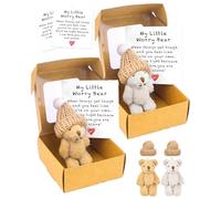 SEESUNO 2 PCS Bear in a Box Set, Little Pocket Worry Bear Hug with 2 Hats 2 Cards 2 Box for Family Friends Thinking of You Gifts