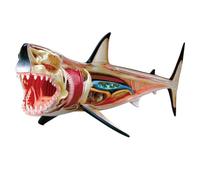 Sefdrert -Anatomy Model - Animal Anatomyical Model - 20 Detachable Organs and Body Parts Biology Medical Teaching Model