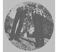 TY SEGALL & WHITE FENCE - Hair [VINYL]