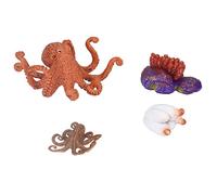 Segrehy Octopus Growth Cycle Model Toy Vivid Real Marine Animal Life Cycle Stages Educational Learning Toy for Kids Above 3 Years Old Material Safe Odorless