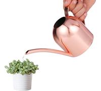 Segrehy Small Watering Can, Stainless Steel with Copper Finish, Precision Long Spout for Indoor Plants, Herbs, Succulents & Bonsai, Durable Metal for Outdoor Patio Use, 1000ml Capacity