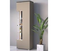 seguin wooden display cabinet with 1 door in congo anthracite