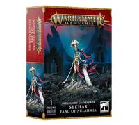Sehkar Fang of Nulahmia | Warhammer Age of Sigmar Soulblight Gravelords