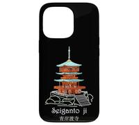 Seiganto-ji, Nachisan, temple pagoda, Japan, drawing Case for iPhone 13 Pro