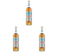 Seignette VS Cognac, 70 BV 40% (Pack of 3)