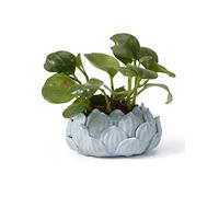 SEINHIJO Ceramic Planter Pot Cacuts Succulent Decor Gifts Flower Ornament Modern Indoor Sculpture Table Centerpiece Arts Crafts Blue 18cm