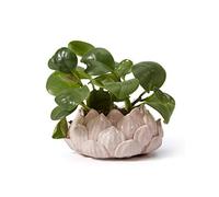 SEINHIJO Ceramic Planter Pot Cacuts Succulent Decor Gifts Flower Ornament Modern Indoor Sculpture Table Centerpiece Arts Crafts Pink 18cm