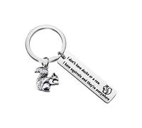 SEIRAA Squirrels Jewelry Gift for Squirrels Lover I don't Have Ducks Or a Row I Have Squirrels Keychain Gift for Friends, Silver, 0