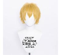 SEIZIS Aili Silk Saw Male Protagonist COS Fake Hair Process is Easy to Shape Cosplay Anime Wig Coser