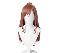 SEIZIS Anime Wig BanG Dream!Cosplay Imai Lisa Wig,Brown Long Wig,Costume Halloween Wig,For Halloween,Costume Party,Anime Show,Cosplay Event,Concerts Cosplay Anime Wig Coser