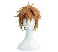 SEIZIS Anime Wig Bungo Stray Dogs Cosplay Junichiro Tanizaki Wig,Short Brown Wig,Costume Halloween Wig,For Halloween,Costume Party,Anime Show,Cosplay Event,Concerts Cosplay Anime Wig Coser