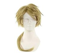 SEIZIS Anime Wig Bungo Stray Dogs Cosplay Kunikida Doppo Wig,Green Wig,Costume Halloween Wig,For Halloween,Costume Party,Anime Show,Cosplay Event,Concerts Cosplay Anime Wig Coser