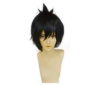 SEIZIS Anime Wig Fairy Tail Cosplay Zeref Dragneel Wig,Short Black Wig,Costume Halloween Wig,for Halloween,Costume Party,Anime Show,Cosplay Event,Concerts Cosplay Anime Wig Coser