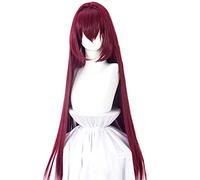 SEIZIS Anime Wig Fate Cosplay Scathach Wig,Wine Red Long Straight Wig,Costume Halloween Wig,For Halloween,Costume Party,Anime Show,Cosplay Event,Concerts Cosplay Anime Wig Coser