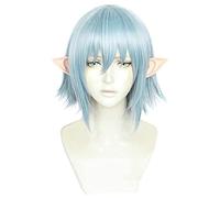 SEIZIS Anime Wig Final Fantasy XIV Cosplay Haurchefant Greystone Wig,Short Blue Wig,Costume Halloween Wig,For Halloween,Costume Party,Anime Show,Cosplay Event,Concerts Cosplay Anime Wig Coser