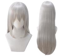 SEIZIS Anime Wig for Rozen Maiden Suigintou Cosplay Wig,Gray Long Wig,Costume Halloween Wig,For Halloween,Costume Party,Anime Show,Cosplay Event,Concerts Cosplay Anime Wig Coser