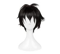 SEIZIS Anime Wig Future Diary Cosplay Amano Yukiteru Wig,Short Black Wig,Costume Halloween Wig,For Halloween,Costume Party,Anime Show,Cosplay Event,Concerts Cosplay Anime Wig Coser