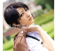 SEIZIS Cosplay Attack Giant Game Anime COS Black Oblique Short Hair cultivar Sleeve Wholesale Cosplay Anime Wig Coser