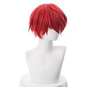 SEIZIS Karma Akabane Cosplay Wig Assassination Classroom Short Red Wig Heat-Resistant Fiber Hair + Wig Cap Party Anime Role Cosplay Anime Wig Coser