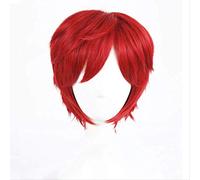 SEIZIS Re:in a Different World from Zero Reinhard van Astrea Cosplay Wigs 30cm Red Synthetic Hair Perucas Cosplay Wig+Wig Cap Cosplay Anime Wig Coser