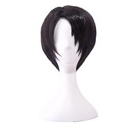 SEIZIS Role Play For Attack on Titan Levi Ackerman Rivai Rivaille Cosplay Wig Short Brown Mixed Heat Resistant Synthetic Hair Cosplay Anime Wig Coser