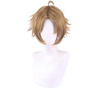 SEIZIS Wig Anime Cosplay Rudeus Greyrat Cosplay Anime Jobless Reincarnation Mushoku Tensei Role Playing Costumes for Halloween Short Brown Synthetic Wig