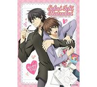 Sekai Ichi Hatsukoi - World's Greatest First Love: Seasons One and Two (SUB Only)