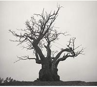 SEKAI NO OWARI 2010-2019[通常盤]