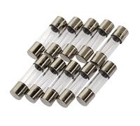 SeKi Micro Fuse 10.0 A, 5 x 20 mm, Slow Blow, Pack of 10 Glass Fuses 250 V