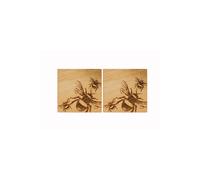 Selbrae House 2 Oak Coasters - Bee in Natural Selbrae House Natural