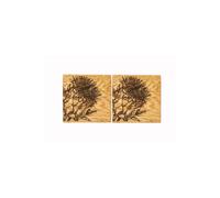 Selbrae House 2 Oak Coasters - Thistle in Natural Selbrae House Natural