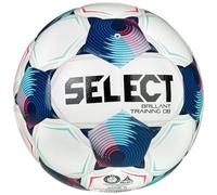 Select Brillant Training DB v25 FIFA Basic Ball 120075, Unisex Footballs, White, 4 EU