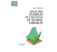 Selected Examples In Calculus Of Several Variables