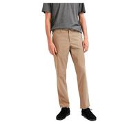 SELETED HOMME Men's SLHSTRAIGHT-New Miles 196 Flex Pants W N Chino, Greige, 34/32, Greige, 34 W/32 L