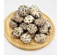 Selected Small Size Flower Mushroom 脫水一口頂級花菇 FREE worldwide AirMail (500 grams)