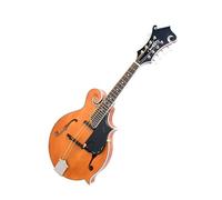 Selected Spruce Top Tiger Maple Back Mandolin Rosewood Accessories