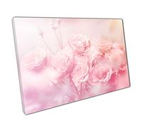 Selection Of Soft Focus Blush Pink Roses Natural Floral Photography Romantic Flowers Wall Art Print On Canvas Picture For Home Office Decor 91x61cm (36x24In)