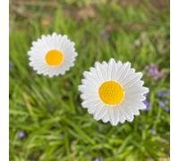 Selections Cast Iron Daisy Bird Feeder Flower Dish (Set Of 2)