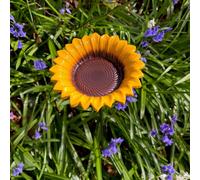 Cast Iron Wild Bird Sunflower Dish Bird Feeder
