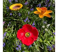 Floral Bird Feeders - Poppy, Daffodil & Sunflower Trio
