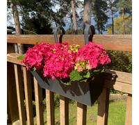 Selections French Grey Balcony Hanging Planters (Set Of 2)