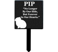 Selections Garden PERSONALISED Pet Memorial Plaque Hamster Budgie Gecko Tortoise Rabbit Budgie Snake Goldfish etc 13.5cm x 24.5cm Non Refundable (c/95000(Our Guinea Pig~)