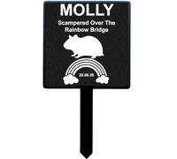 Selections Garden RAINBOW BRIDGE Personalised Pet Memorial Plaque 13cm x 24cm All Dog Breeds, Cat, Reptile, Small Animal, Bird. - NON REFUNDABLE (HAMSTER)