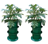 Selections Grow Your Own Platform Patio Potato Planters with Layering Up Collars - Pack of 2