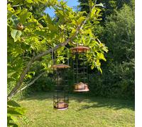 Selections Hanging Bird Feeder Suet Fat Ball Copper Style (Set Of 2)