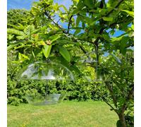 Selections Hanging Bird Feeder With Integral Squirrel Baffle (Set Of 2)