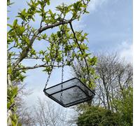 Selections Hanging Metal Bird Seed & Nut Feeder Tray