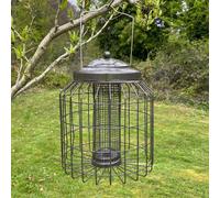 Selections Heavy Duty Squirrel Proof Hanging Bird Nut Peanut Feeder Cage