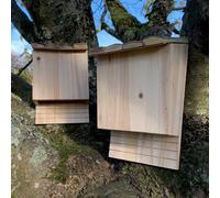 Selections Large Wooden Bat Box For Nesting & Roosting (Set Of 2)